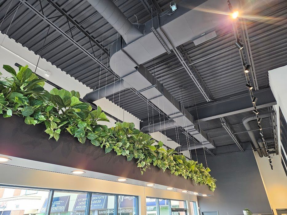 Un plafond avec beaucoup de plantes suspendues.