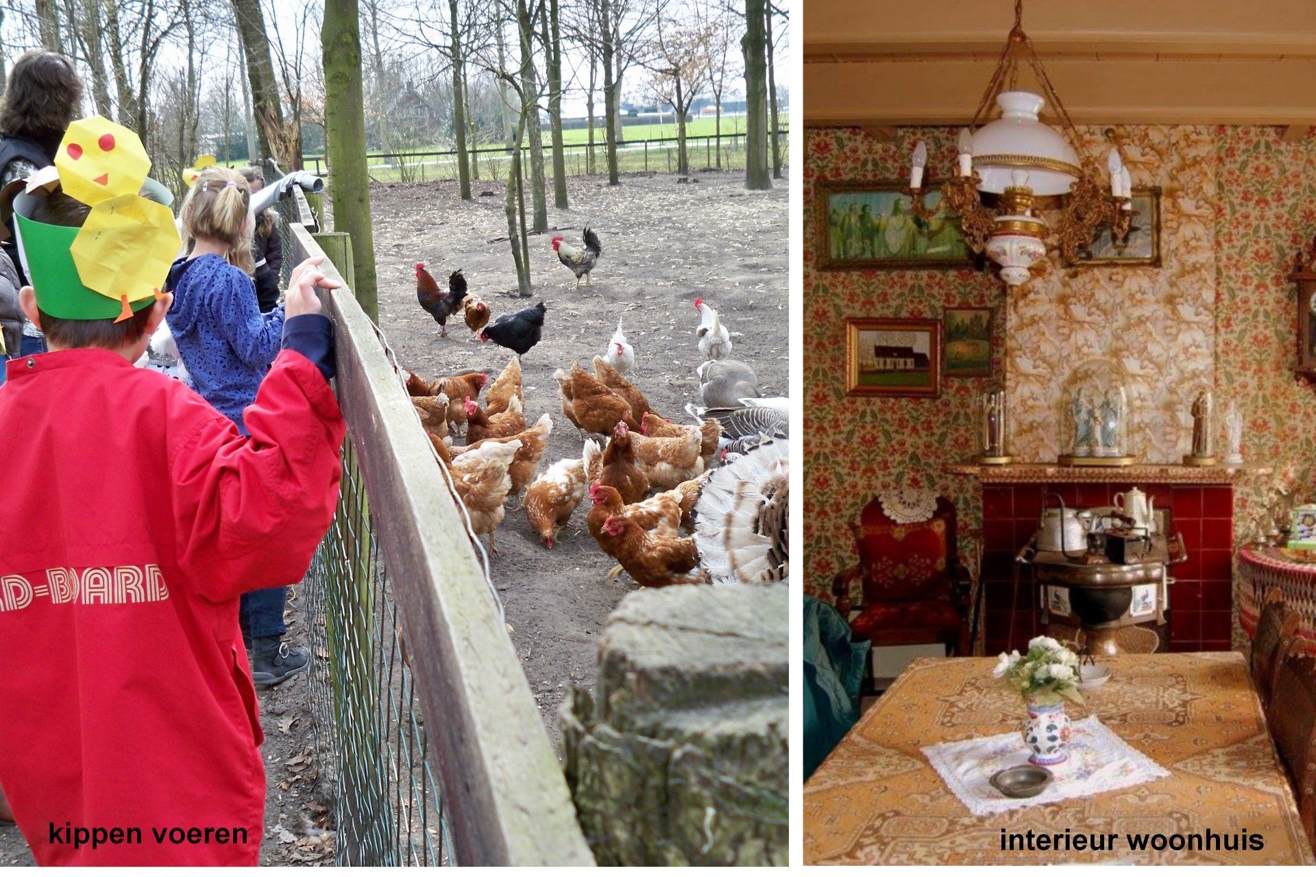 Zorgboerderij de Meeshoeve