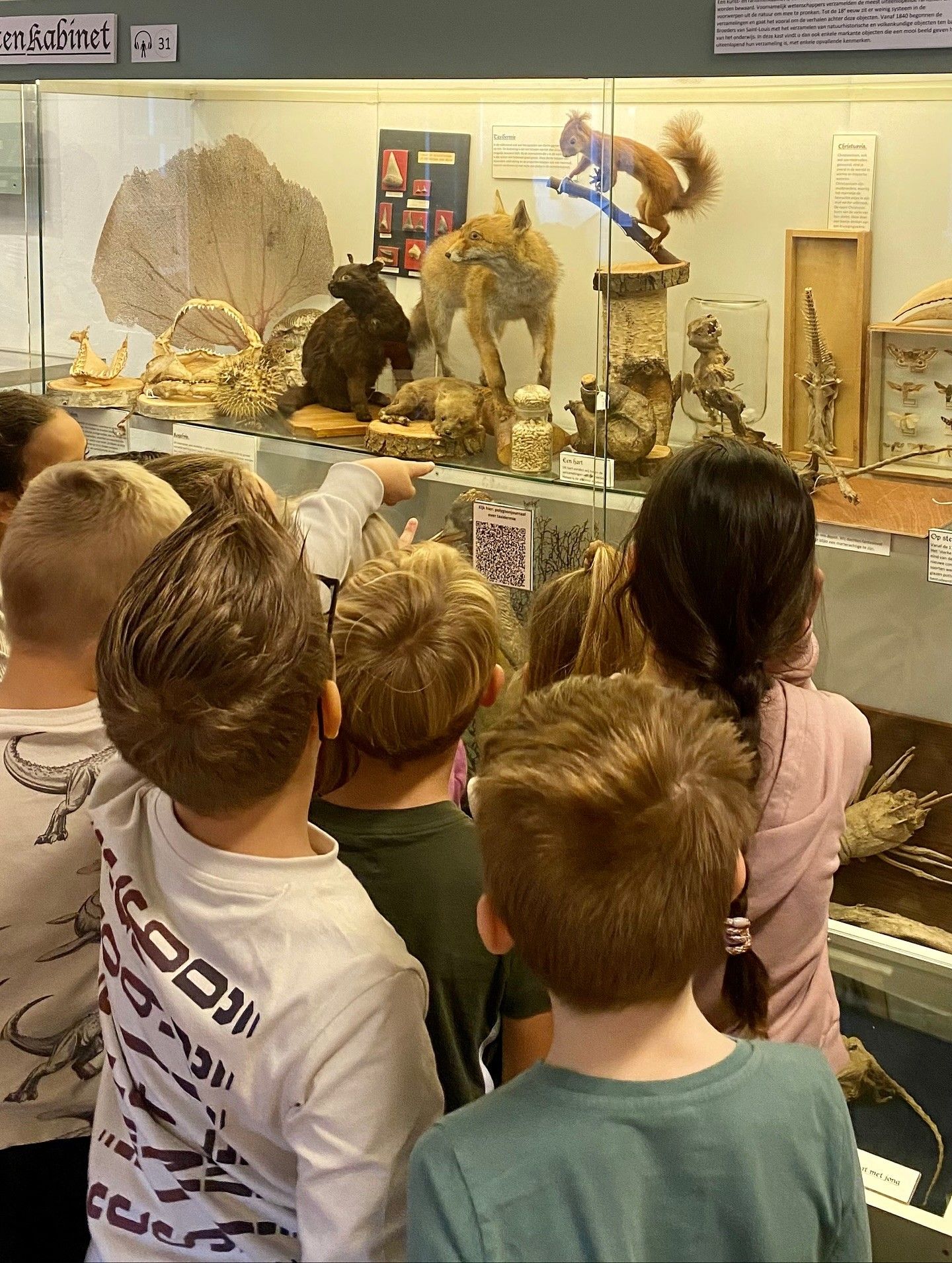 Instituut voor Natuureducatie en Duurzaamheid (IVN) 