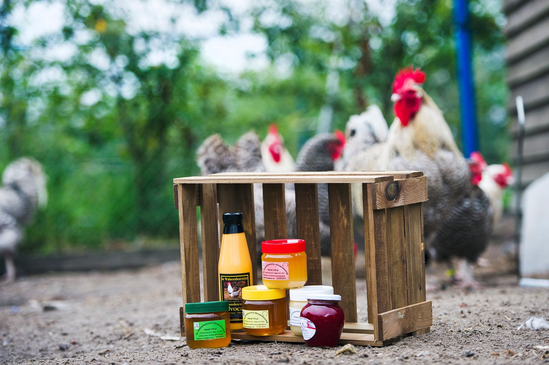 Vof De Walnoothoeve(n)