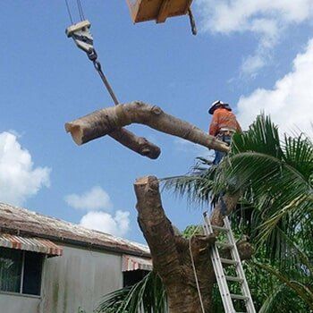 crane with log — G'Days Tree Care in Mackay, QLD
