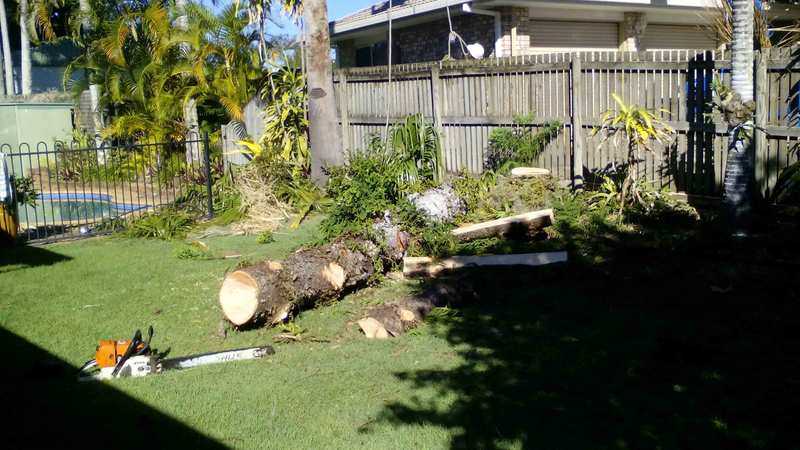 log — G'Days Tree Care in Mackay, QLD