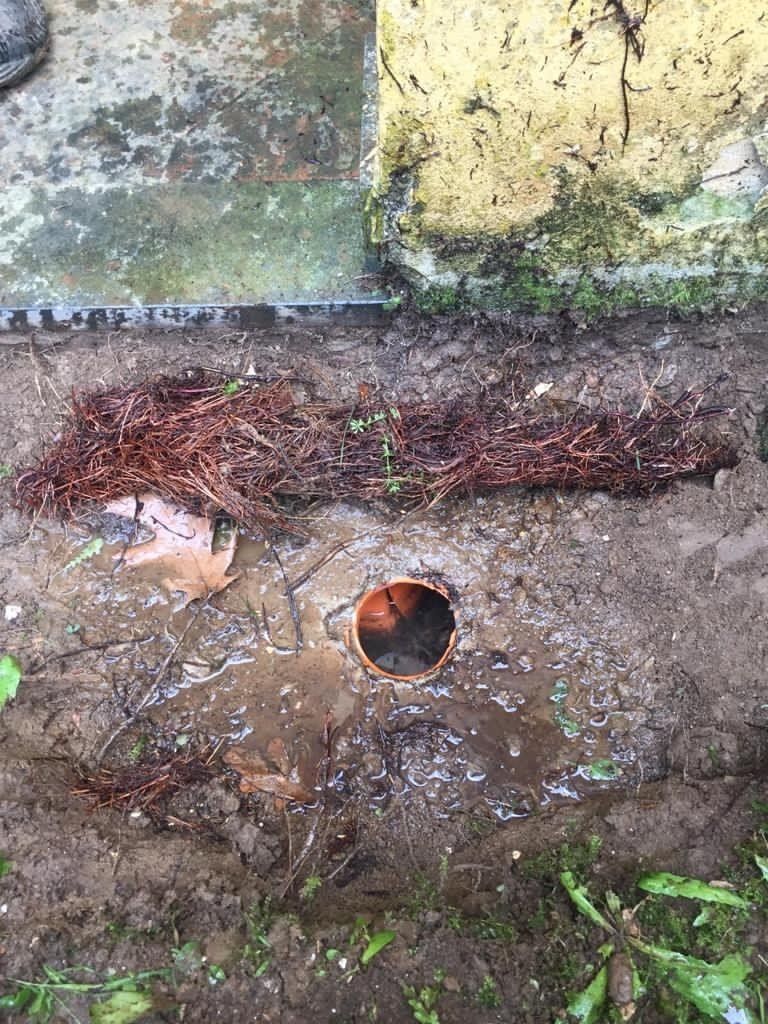 detriti estratti con videoispezione