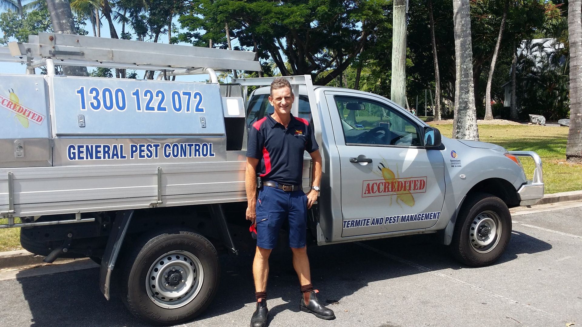 Pest Removal — pest removal in Cairns, QLD