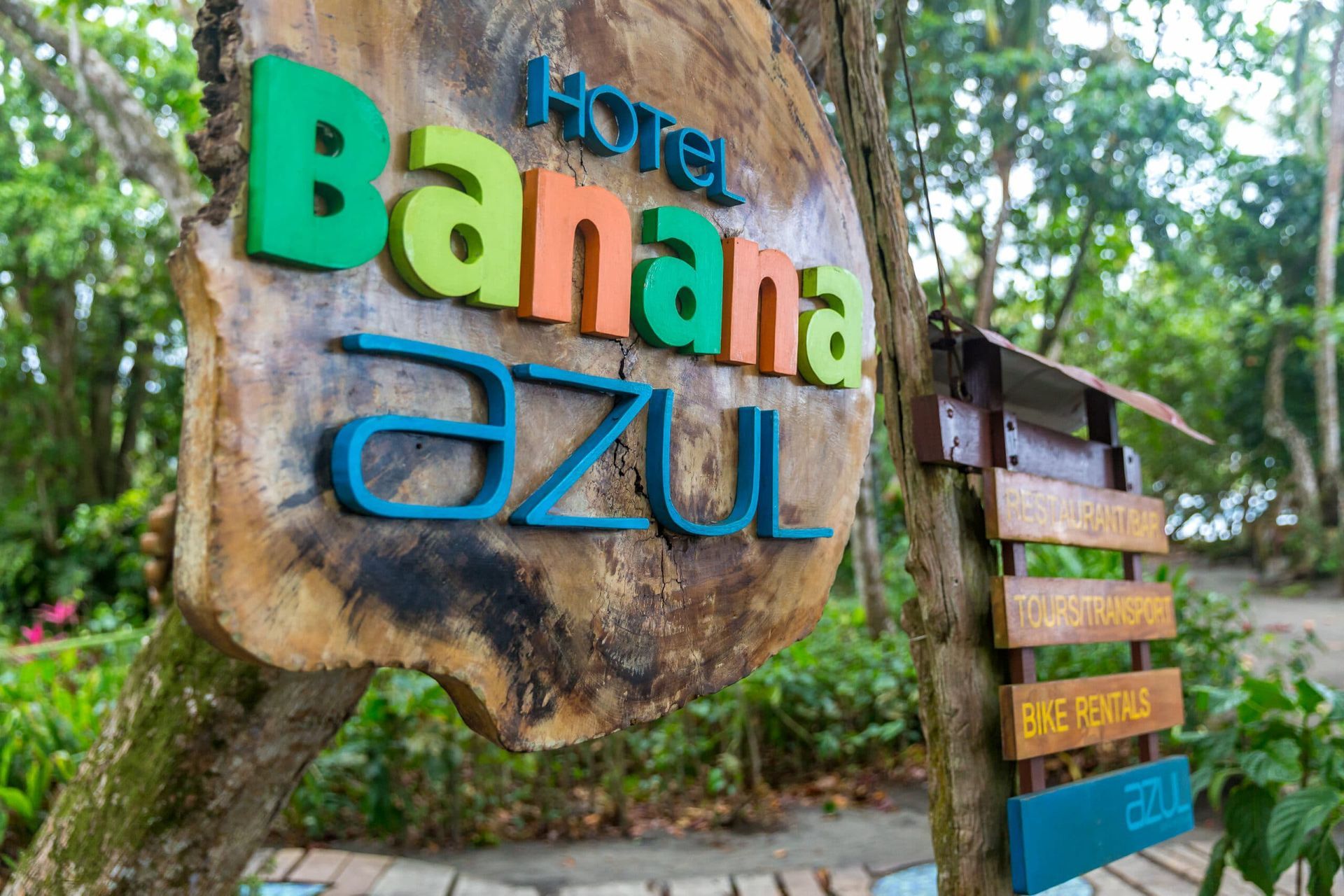A sign for the hotel banana azul is sitting on a tree stump.