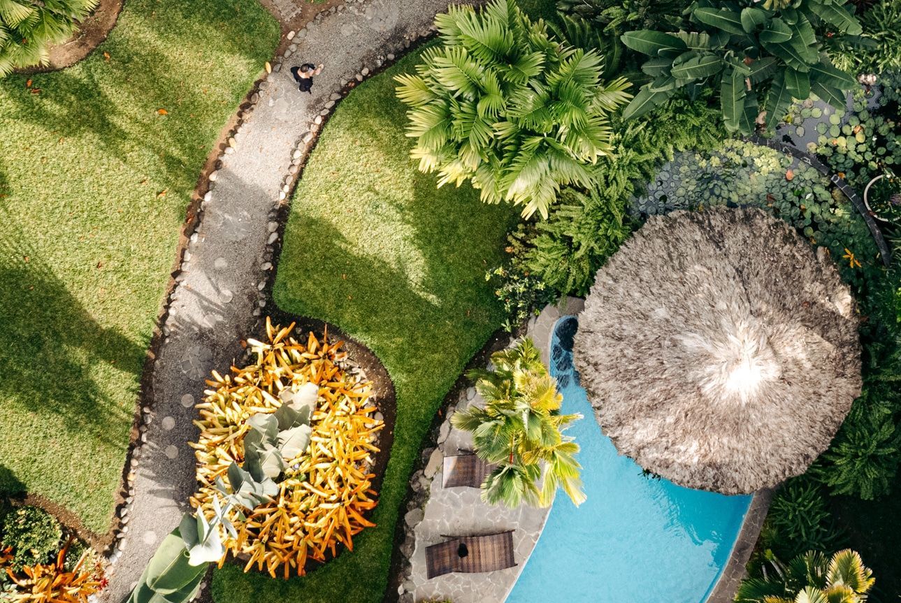 An aerial view of a lush green garden with a swimming pool and a path.