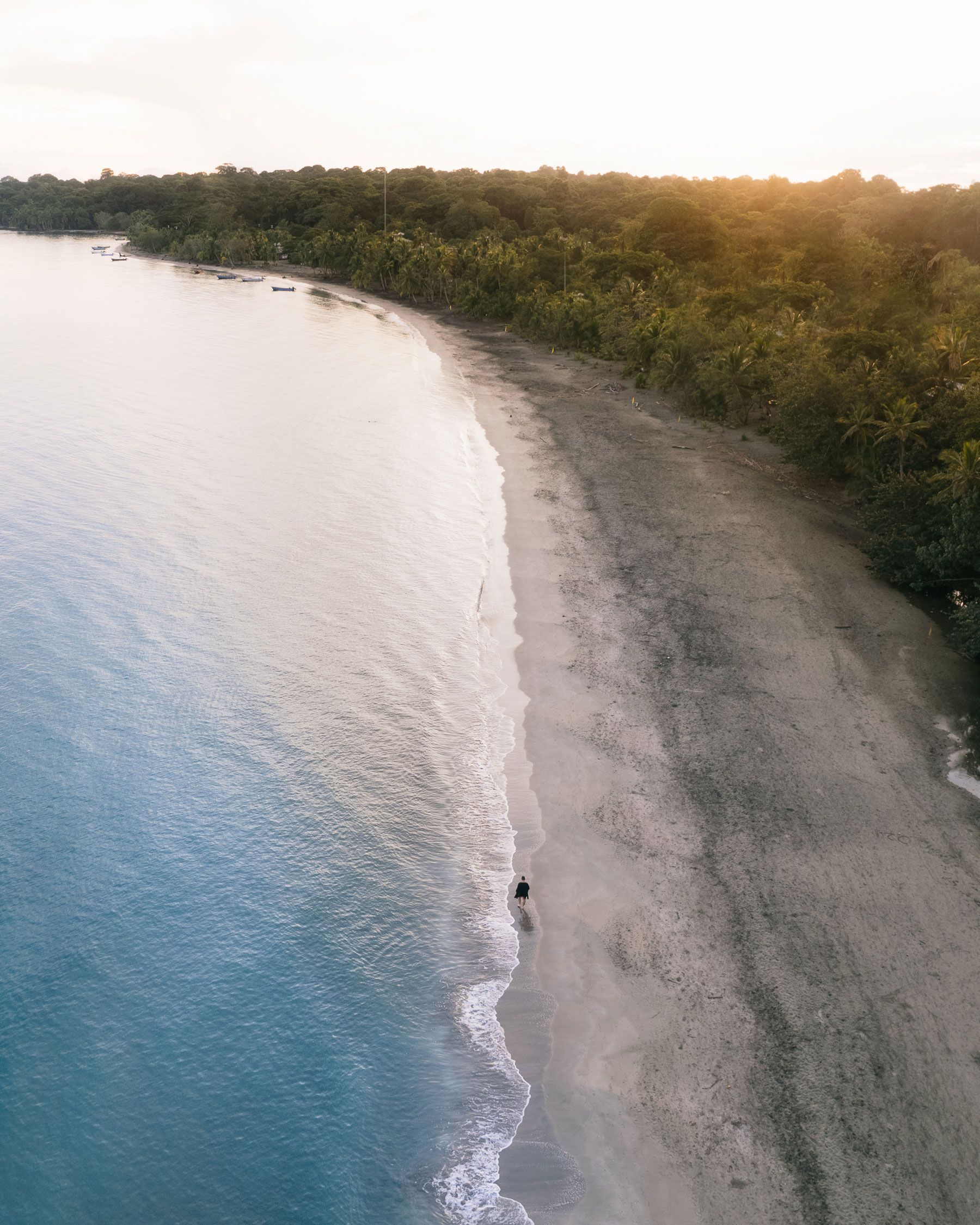 An aerial view of a beach with trees on the shore and a body of water.
