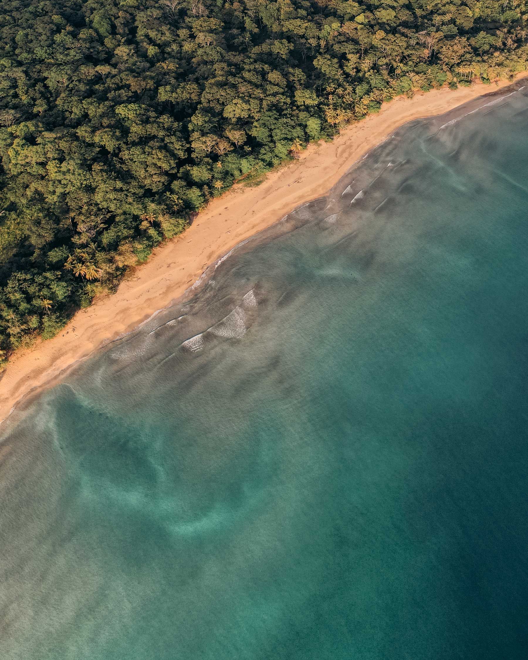 An aerial view of a beach surrounded by trees and a body of water.