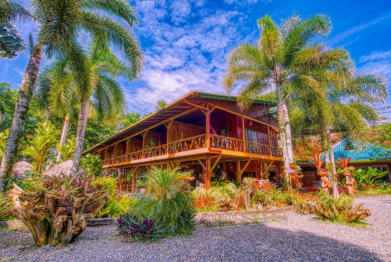 A large wooden house is surrounded by palm trees on a sunny day.