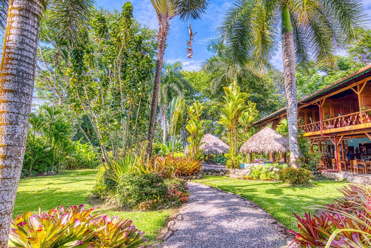 A path leading to a house in the middle of a lush green forest.