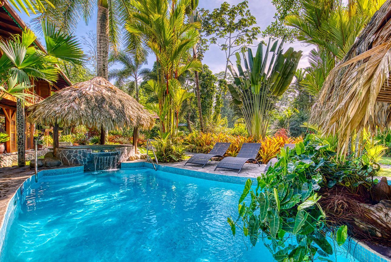 A large swimming pool surrounded by palm trees and chairs.