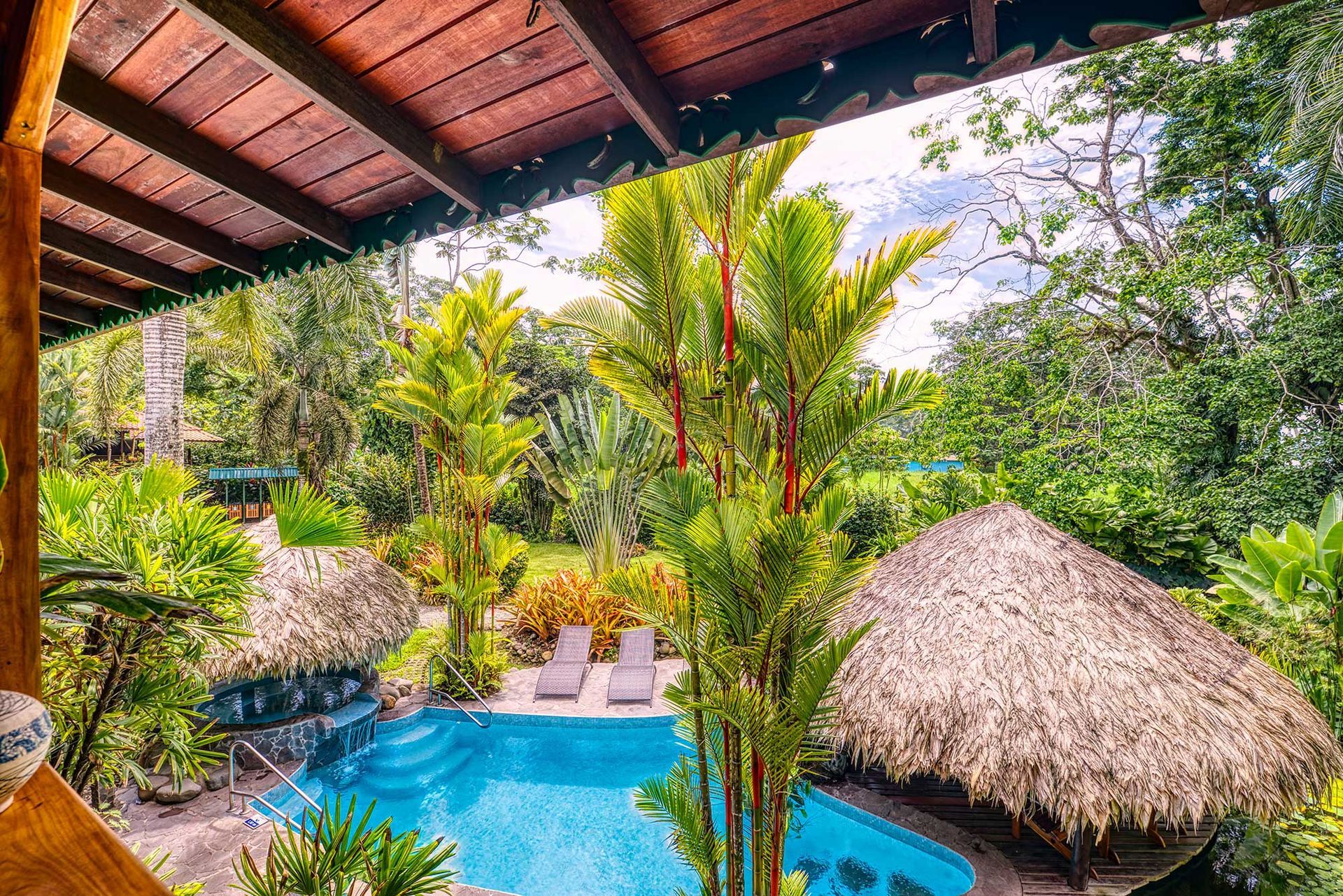 There is a swimming pool in the middle of the jungle.