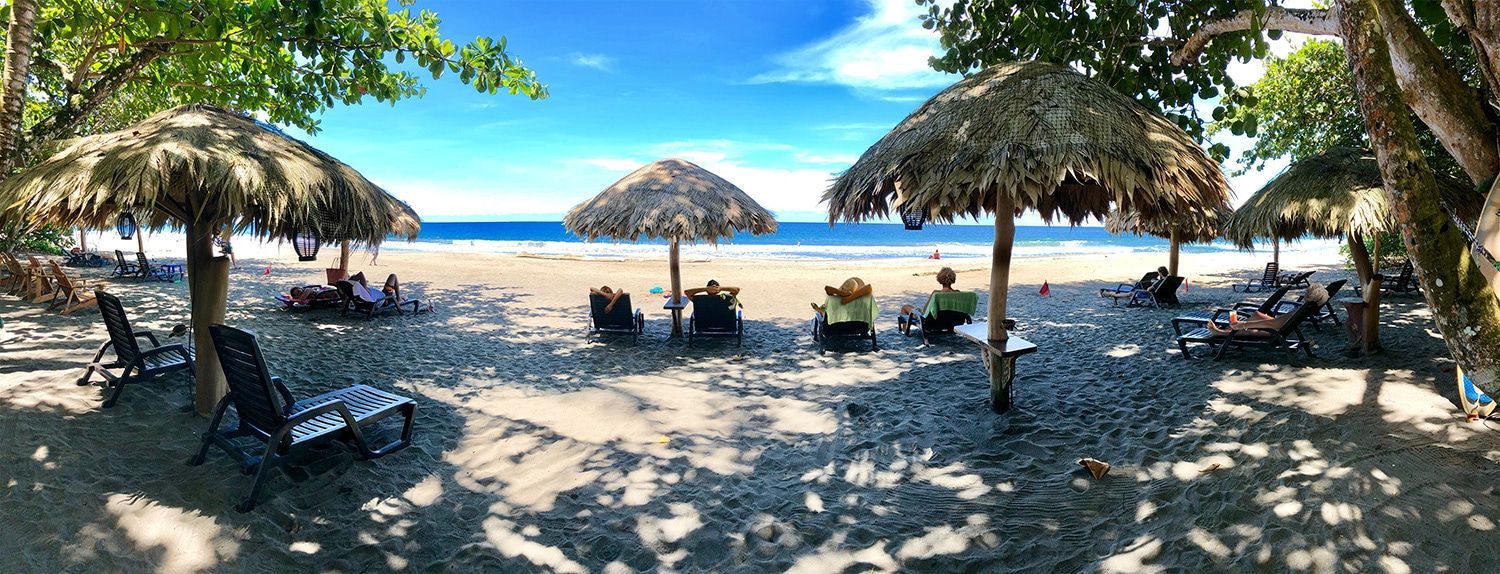 A beach with thatched umbrellas and chairs on a sunny day.