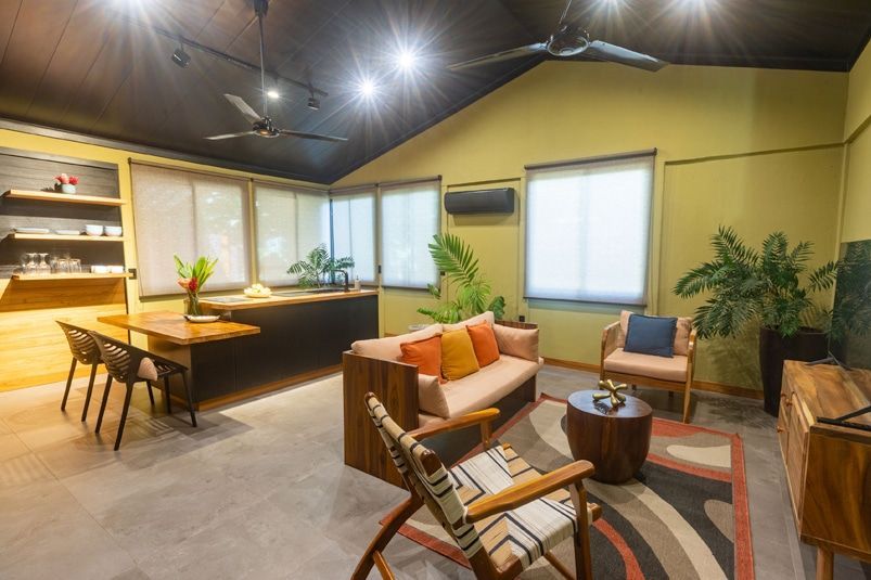 A bright, open-plan living room with olive walls, a wooden dining table, a couch with colorful pillows, and a plant.