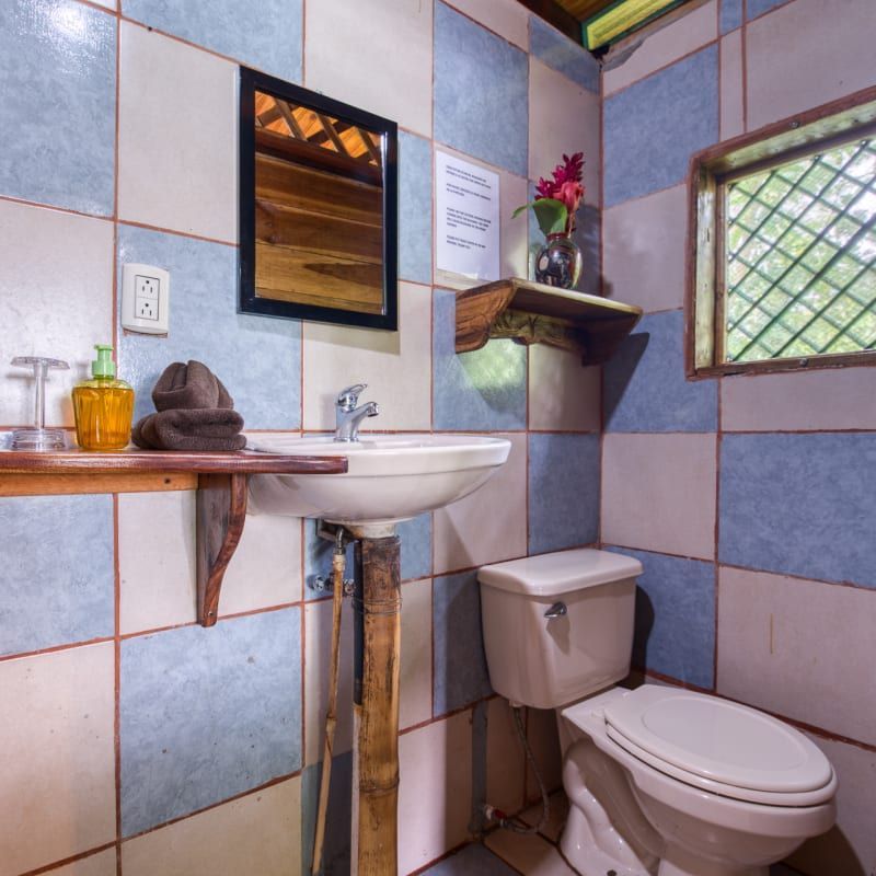 A bathroom with a toilet a sink and a mirror