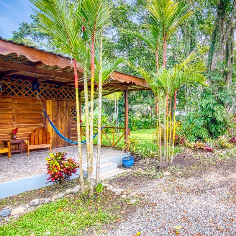 A wooden house with a hammock on the porch surrounded by palm trees.