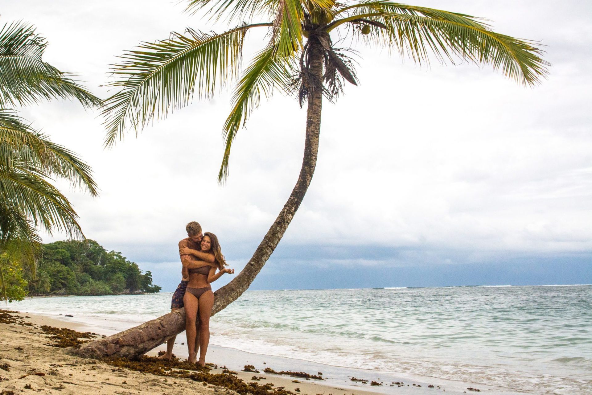 A man and a woman are hugging under a palm tree on the beach.