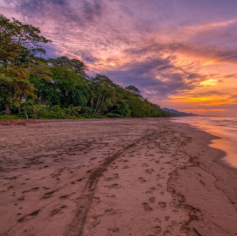 A sunset over a sandy beach with trees in the background
