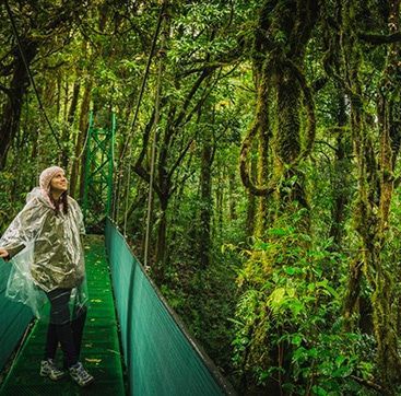 A woman is standing on a suspension bridge in the jungle.