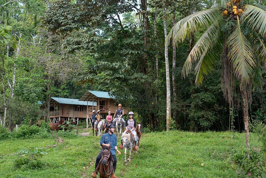 A group of people are riding horses through a grassy field.