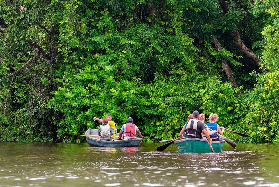 A group of people are rowing a boat down a river.