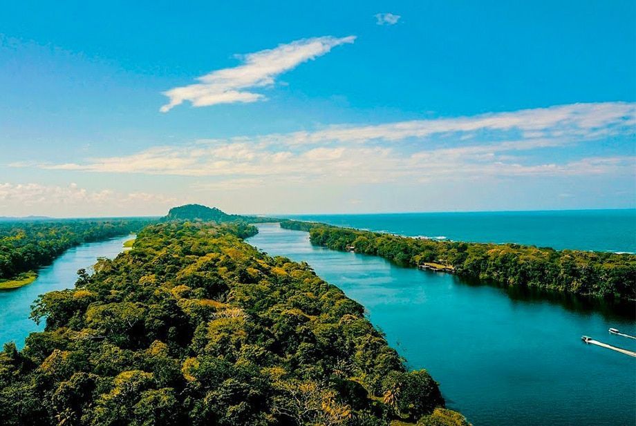 An aerial view of a river surrounded by trees and a body of water.