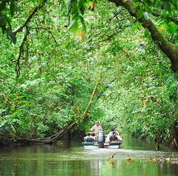 A group of people are riding a boat down a river surrounded by trees.