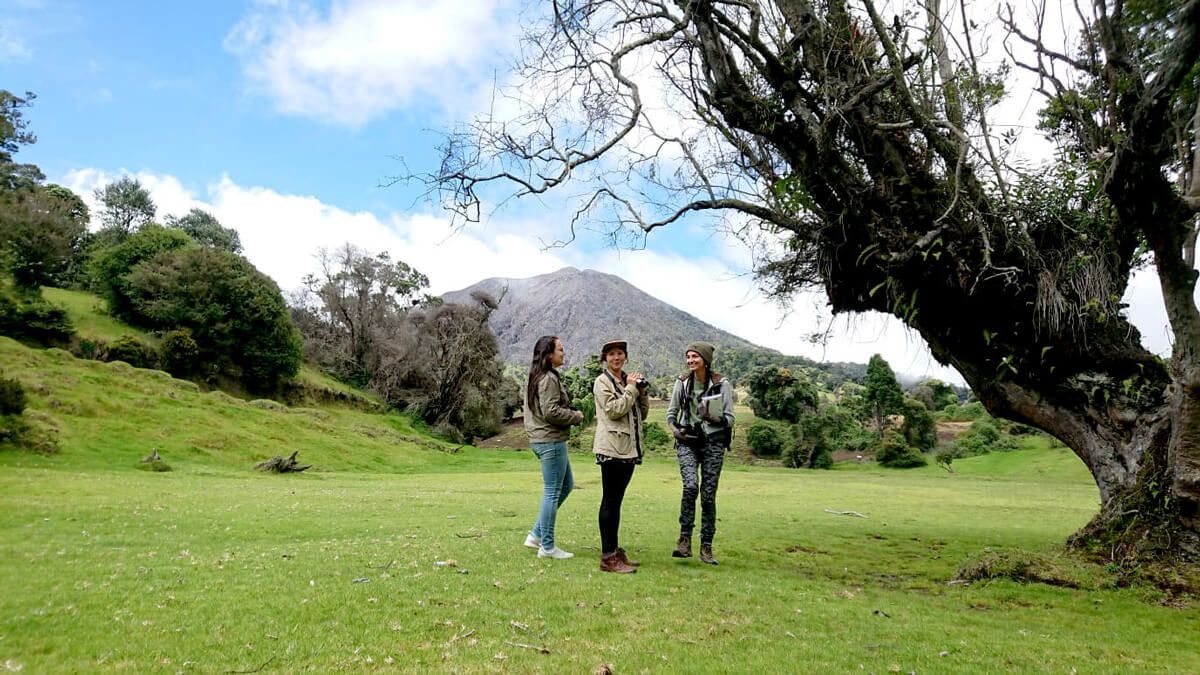 Three people are standing in a grassy field next to a tree.