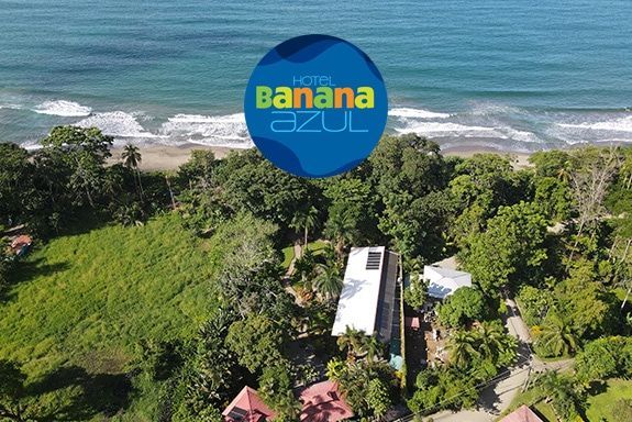 An aerial view of a banana azul hotel near the ocean