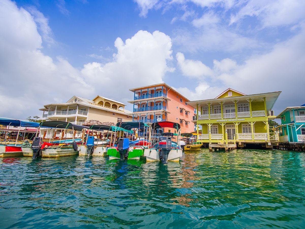 A group of boats are docked in a harbor with buildings in the background.