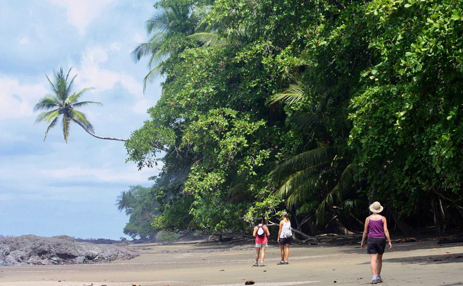 Three people are walking on a beach with trees in the background