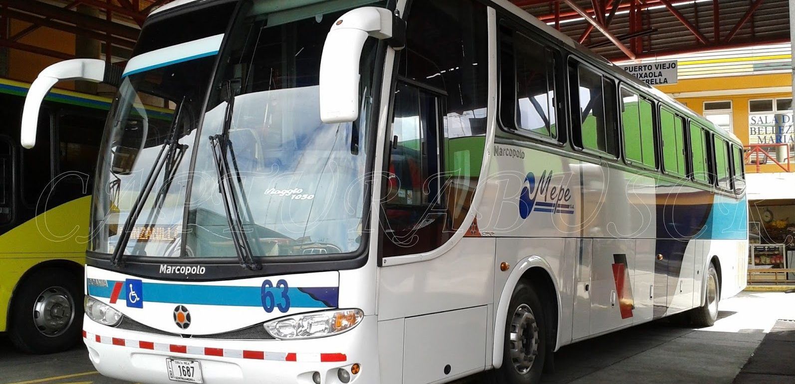 A white and green bus is parked in a parking lot.