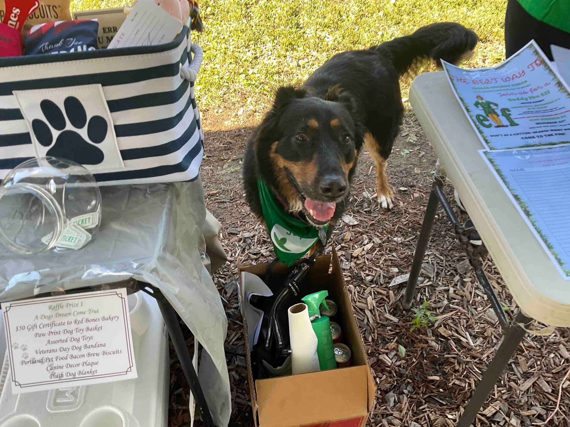 A dog wearing a green bandana is standing in front of a table.