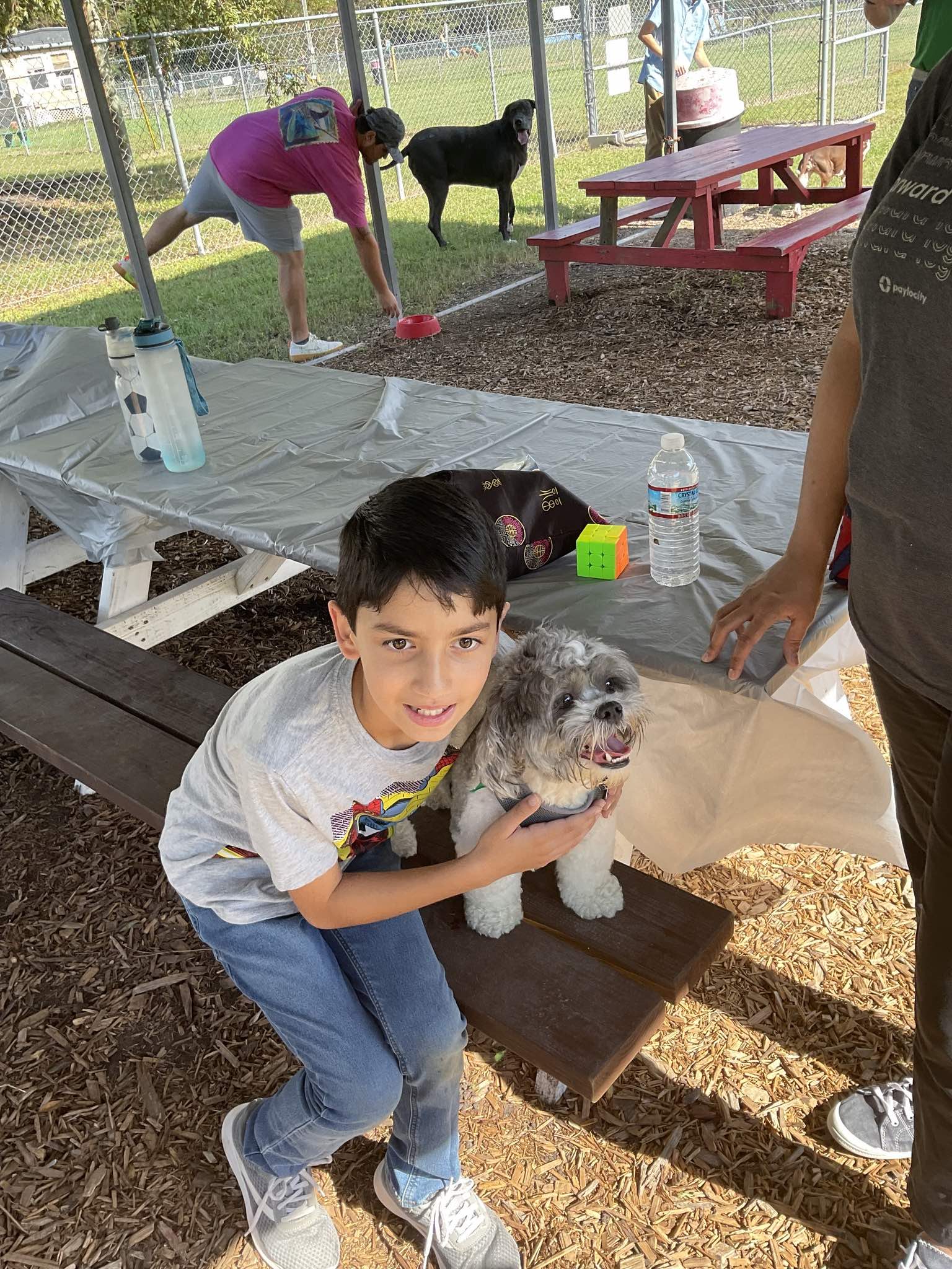 A young boy is kneeling down next to a small dog on a picnic table.
