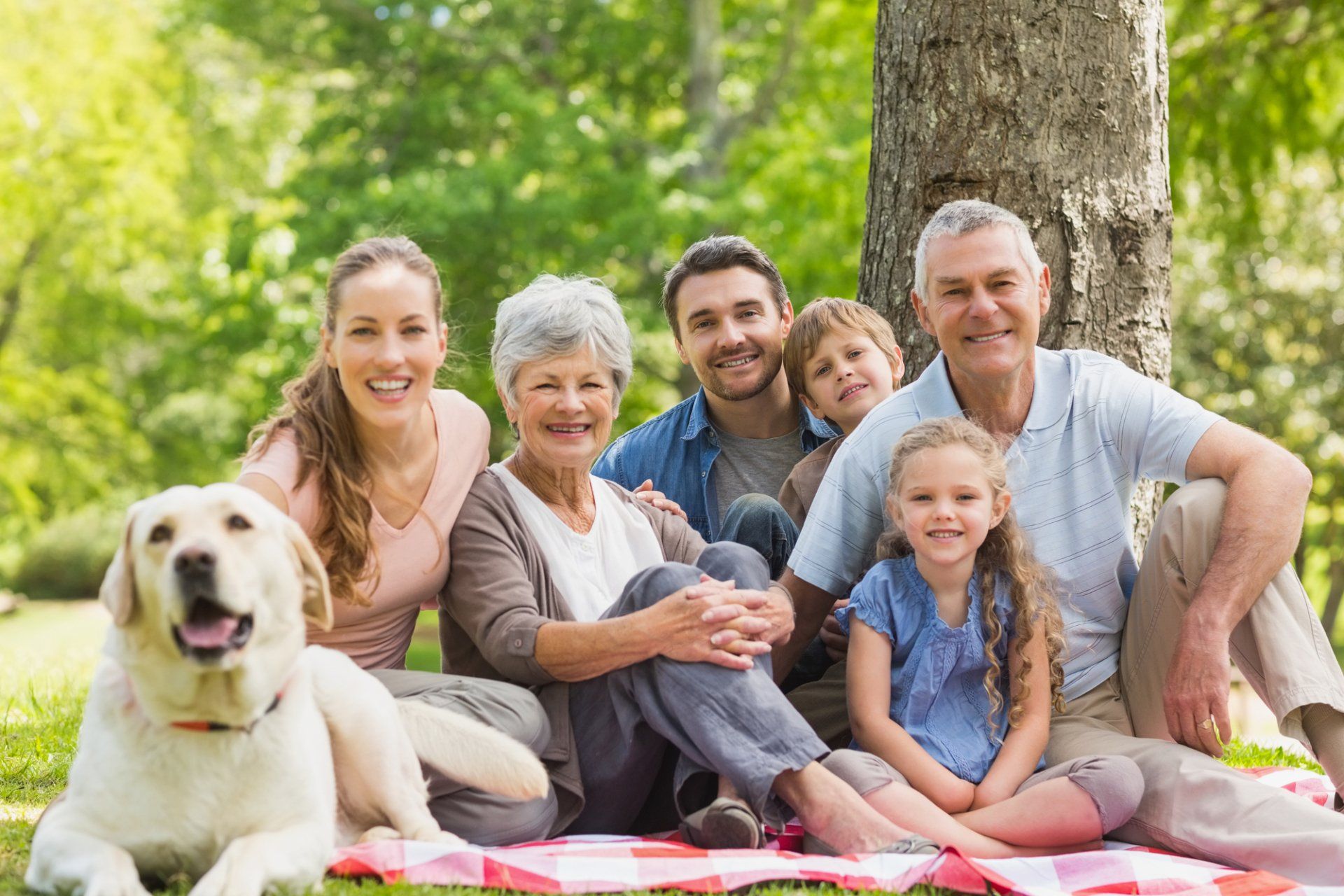 a happy extended family picnics together under a tree