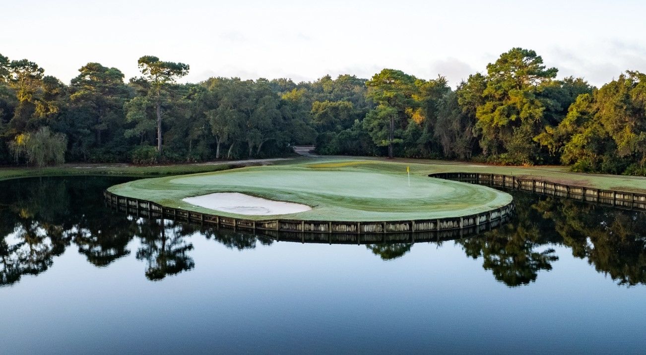 There is a golf course in the middle of a lake surrounded by trees.