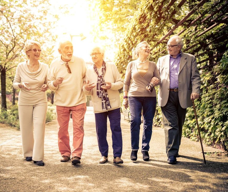 a group of 5 happy senior citizens walking together