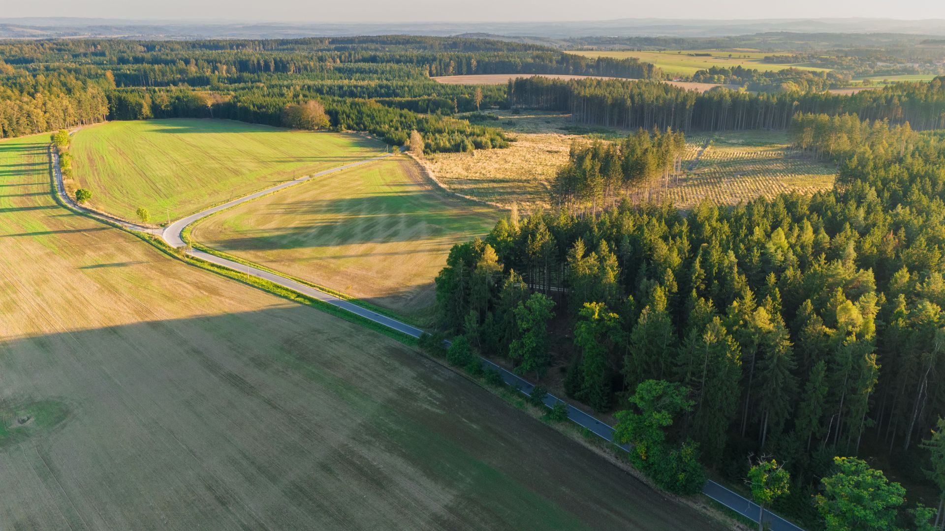 Aerial view of green and yellow farmland beside a dense forest in soft evening light