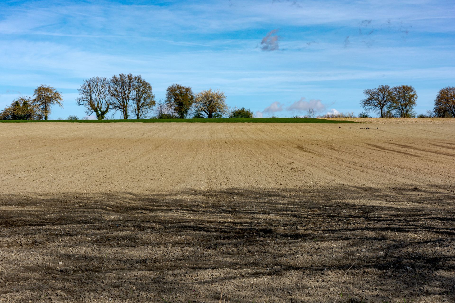 Plowed field with bare trees along the horizon under a clear blue sky