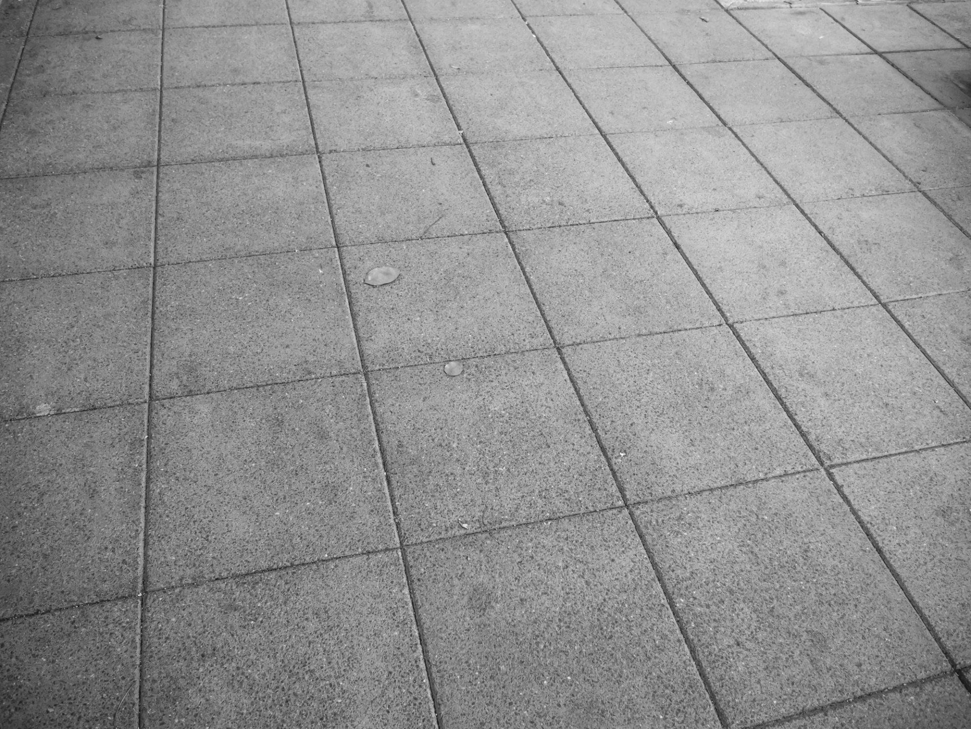 Classic Slate Look Floor - Southport, QLD - Supremacy Concreters