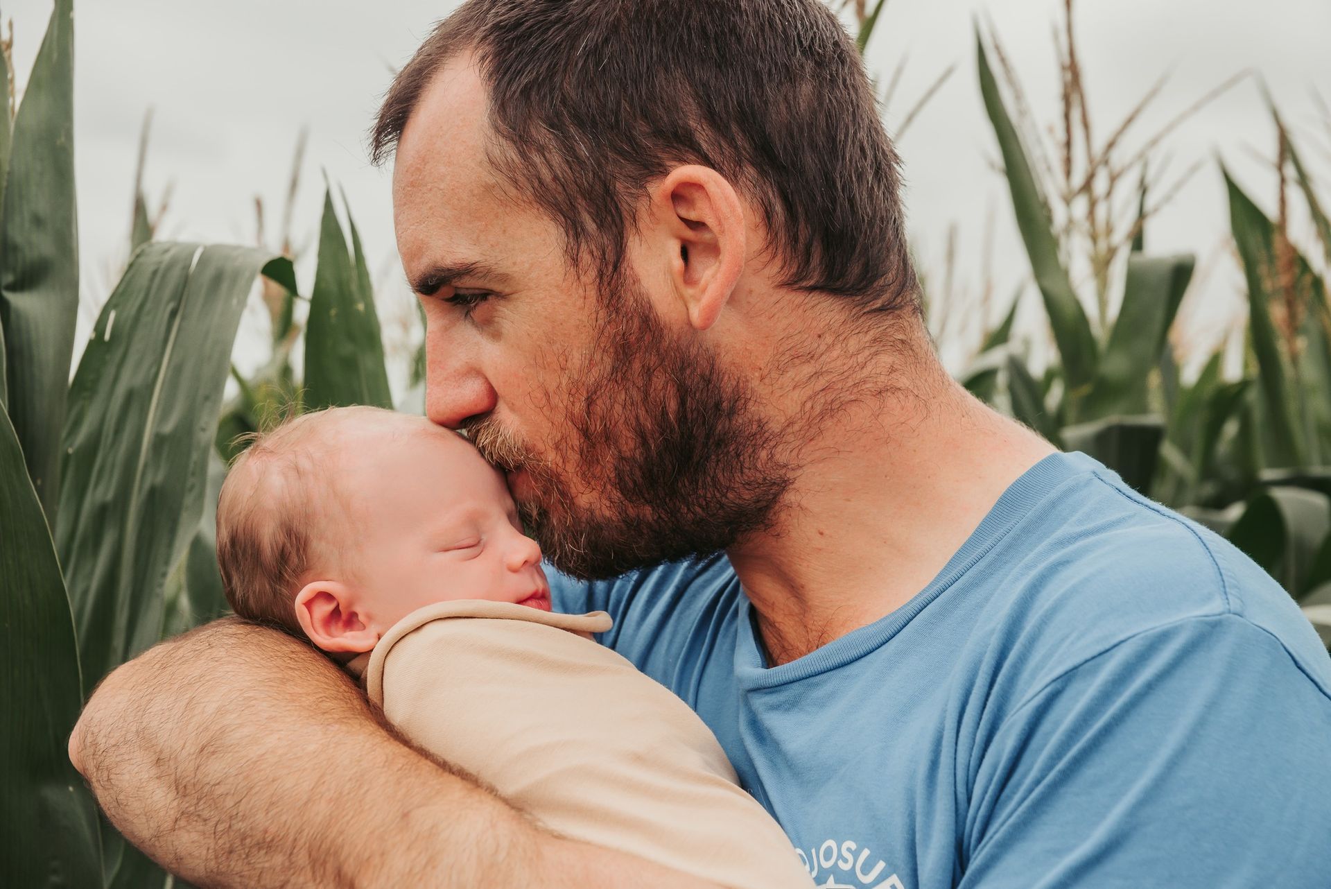 Man Kissing Sleeping Baby's Forehead in a Cornfield — Feathers & Lace Photography in Tarzali, QLD