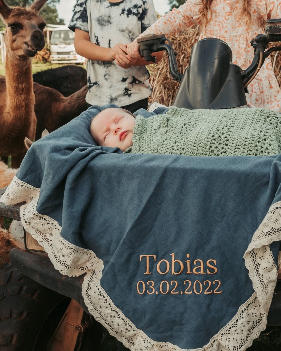 Baby Tobias Wrapped in Blanket on Wagon, With Llamas in Background — Feathers & Lace Photography in Tarzali, QLD
