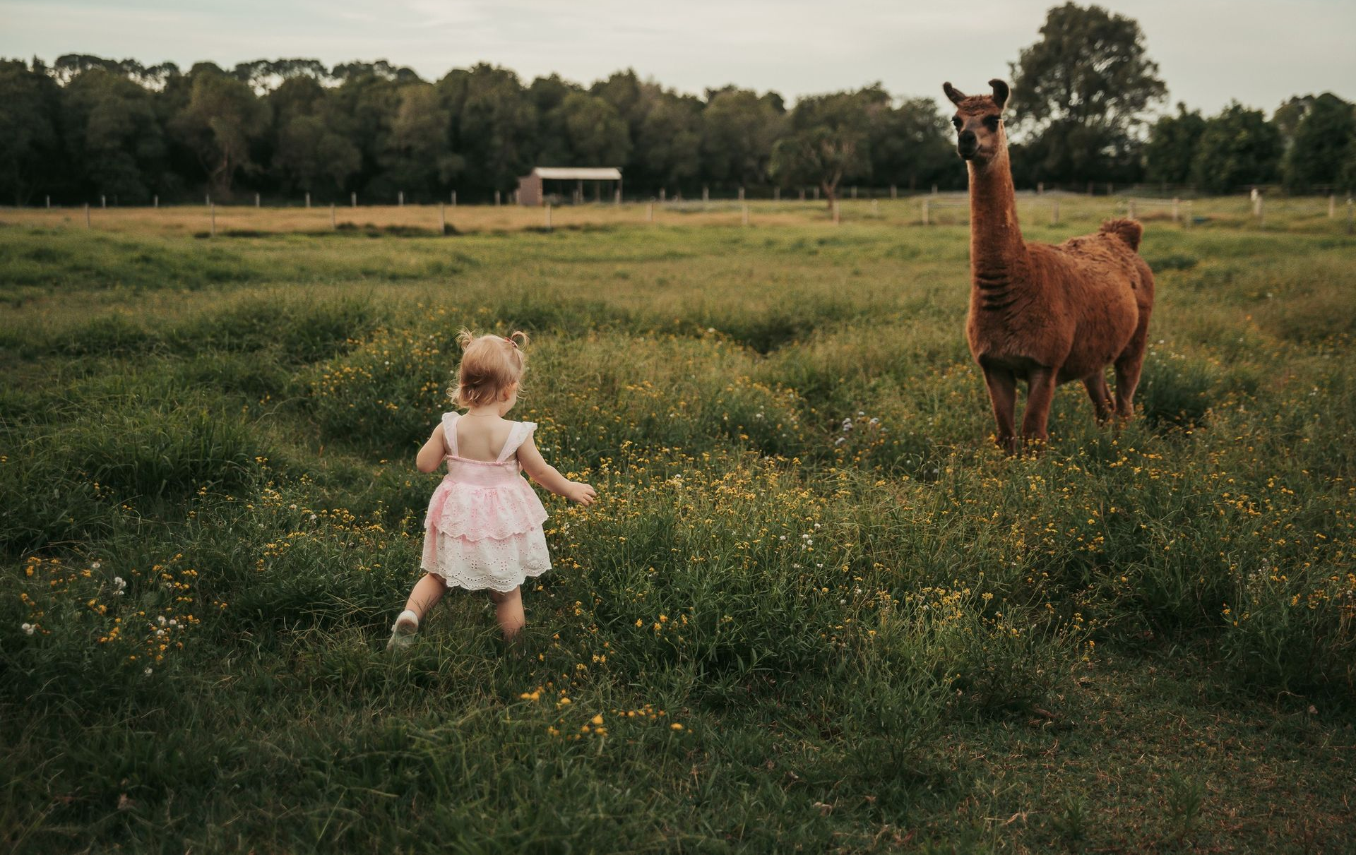Family of Six Standing on Porch Steps in Front of a White House — Feathers & Lace Photography in Tarzali, QLD