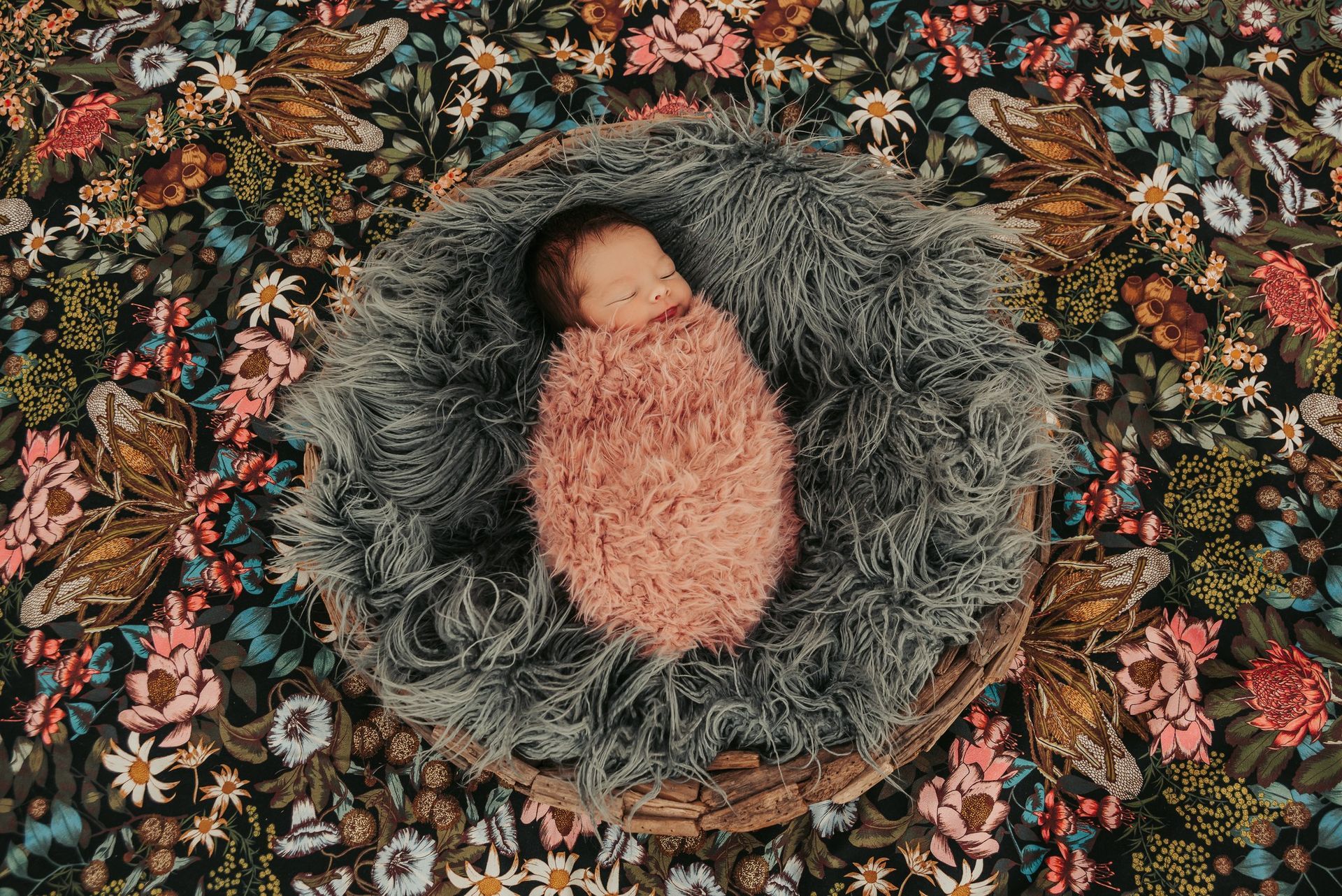 Newborn Swaddled in Pink, Nestled in a Gray — Feathers & Lace Photography in Tarzali, QLD