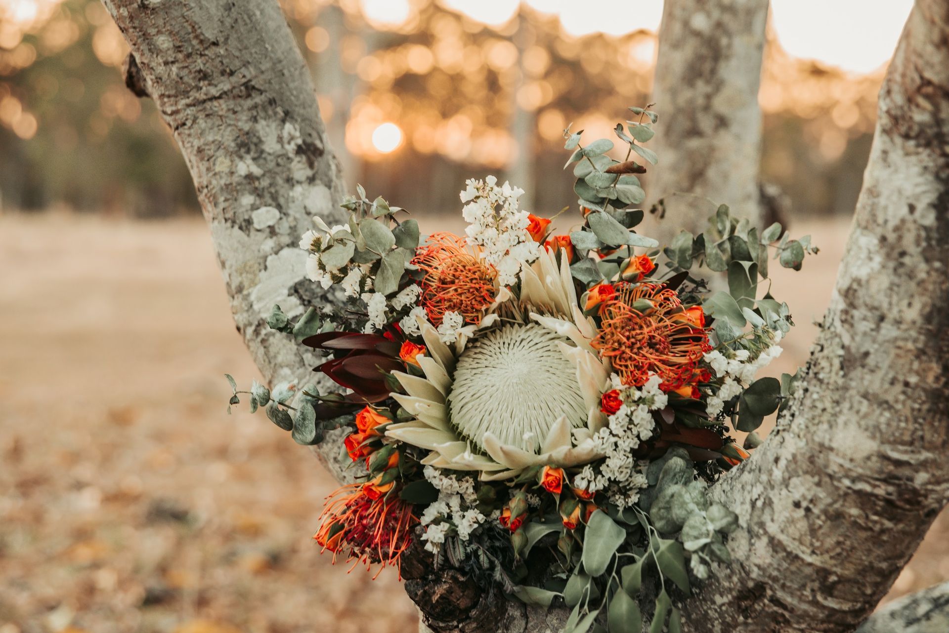 Bouquet of Orange, White, and Red Flowers Nestled in a Tree Branch — Feathers & Lace Photography in Tarzali, QLD
