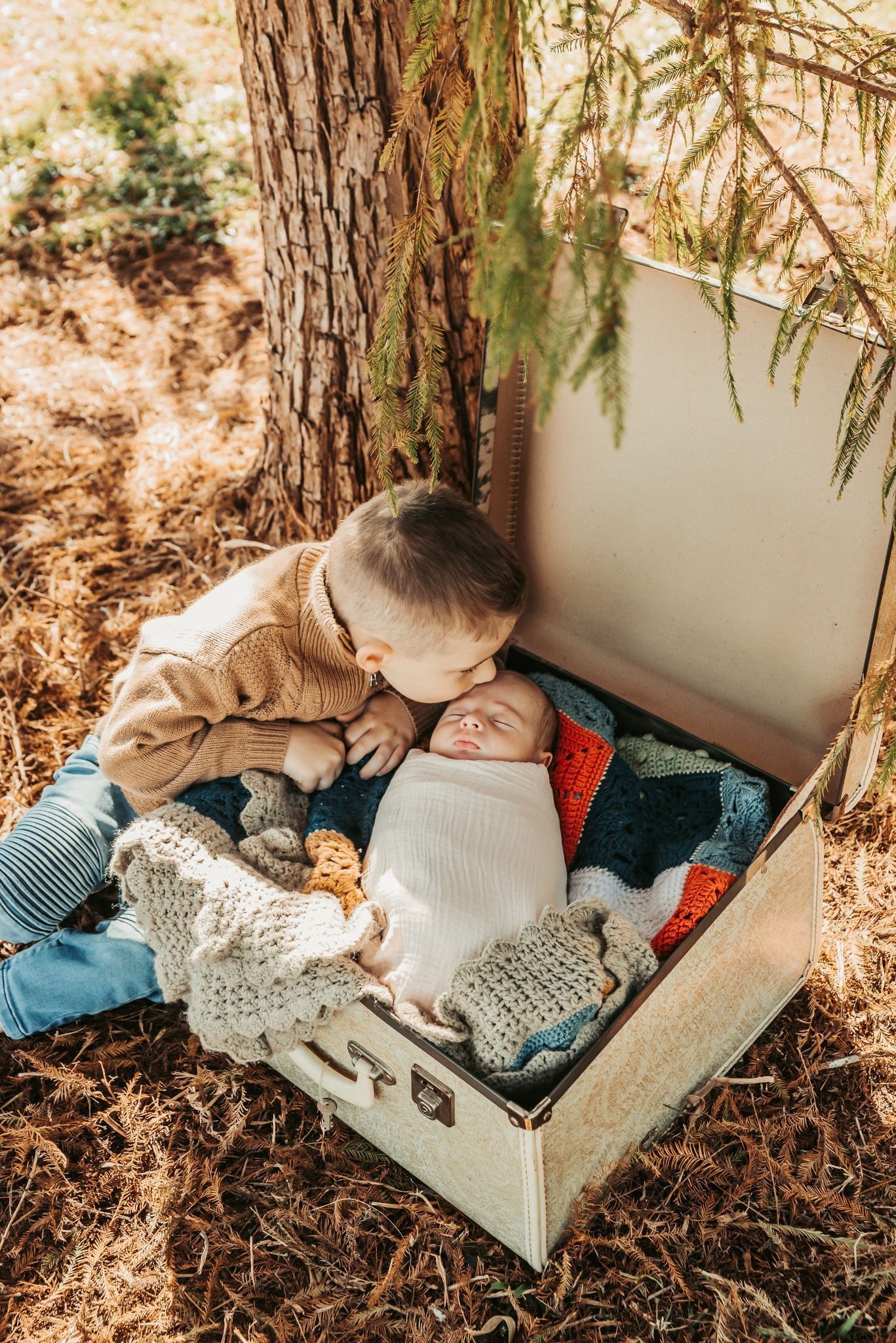 Older Child Kissing Newborn Wrapped in Blanket, Inside Open Suitcase in Woods — Feathers & Lace Photography in Tarzali, QLD