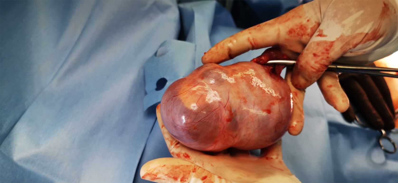 CLINICA DE DISPLASIAS LASER CIRUGIA S.C - ginecólogo