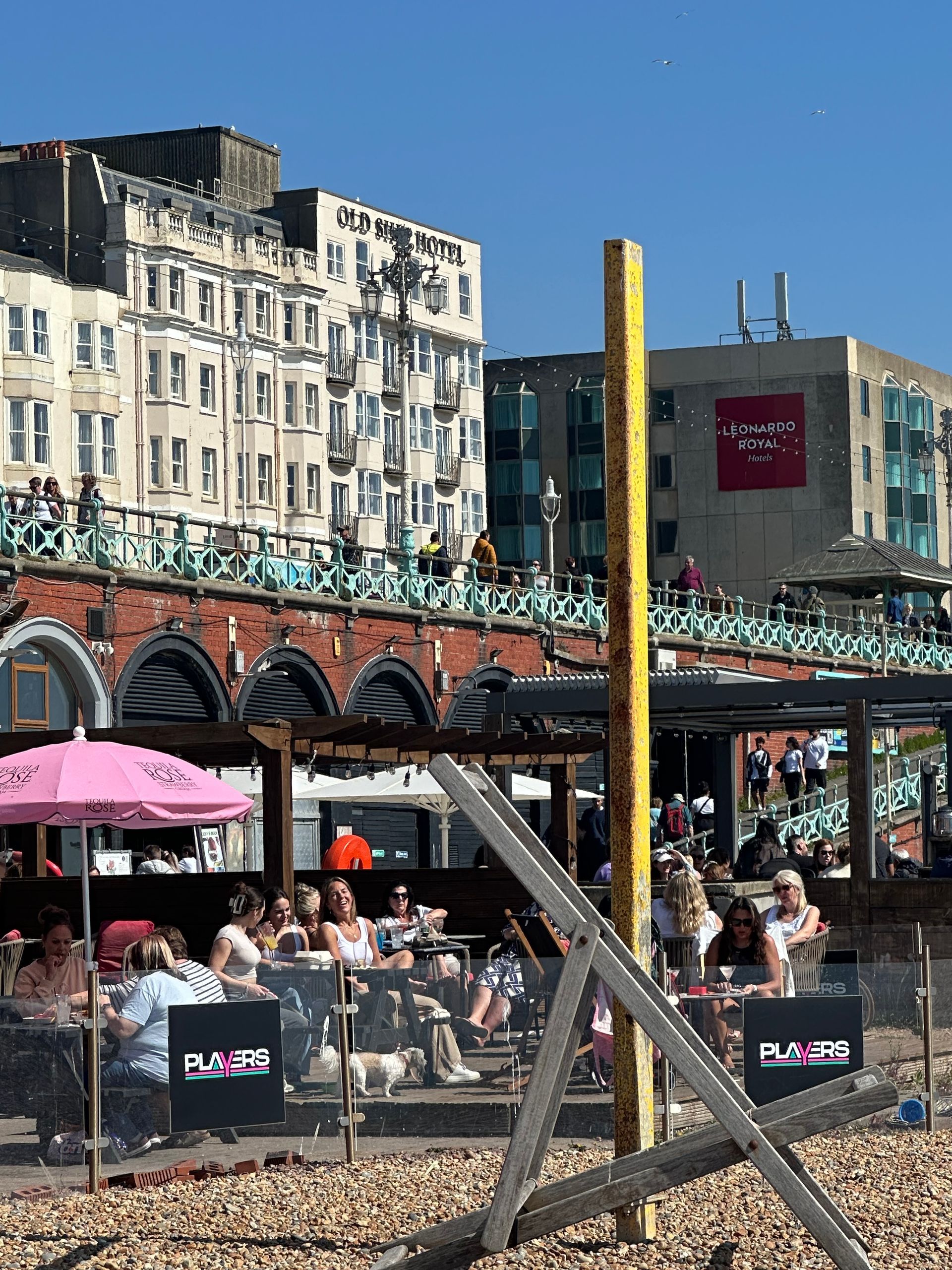 A group of people are sitting under pink umbrellas on a beach