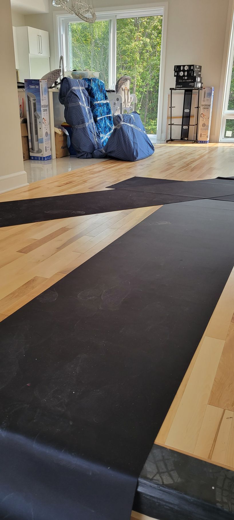 Un salon avec parquet et un tapis noir au sol.