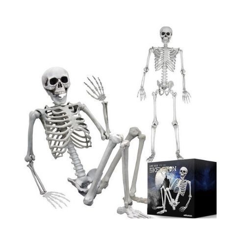 skelet